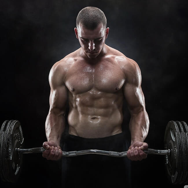 Best Gym in Kaithal Haryana - The Fitness Club Training Area
